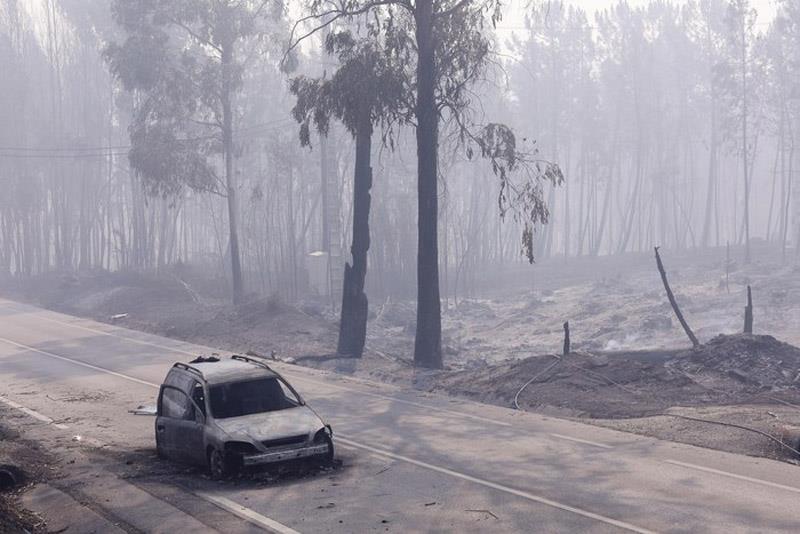 PORTUGAL FOREST FIRES