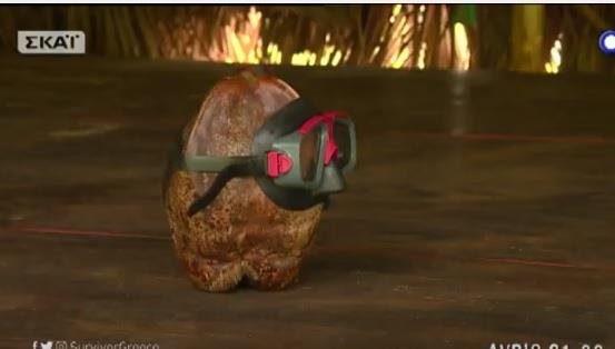 survivor gr