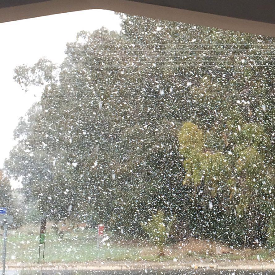 snow 
