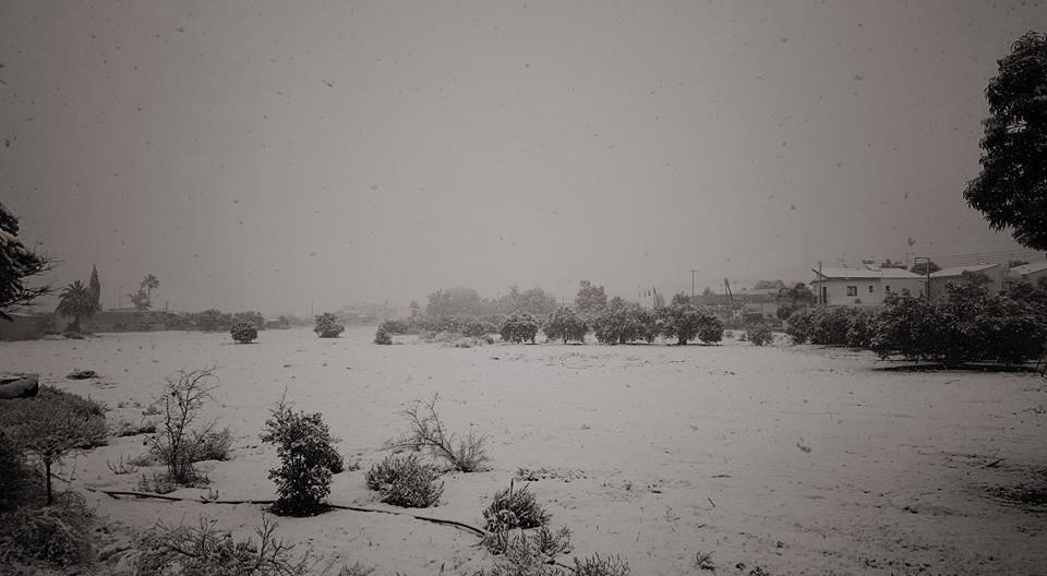 snow 4 