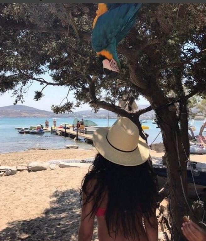 Κέλλυ Κελεκίδου