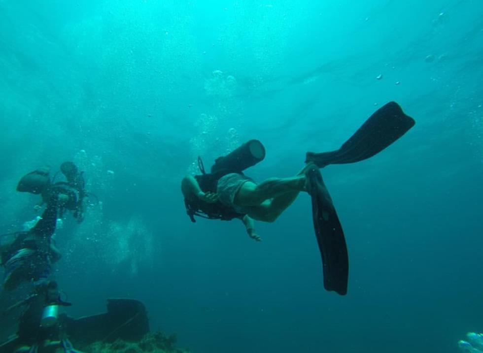 ΑΚΗΣ ΠΕΤΡΕΤΖΙΚΗΣ