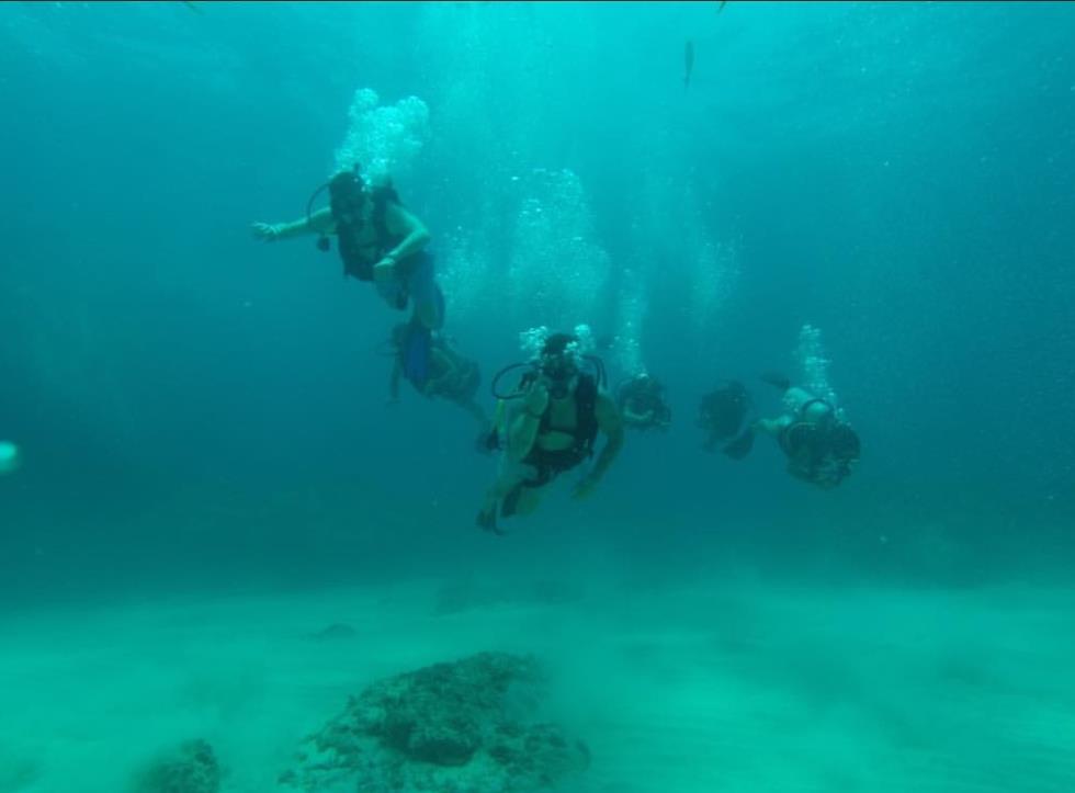 ΑΚΗΣ ΠΕΤΡΕΤΖΙΚΗΣ