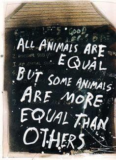 animals