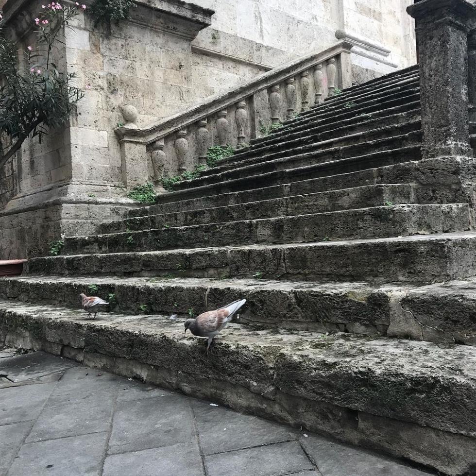 ΜΕΛΙΝΑ ΑΣΛΑΝΙΔΟΥ