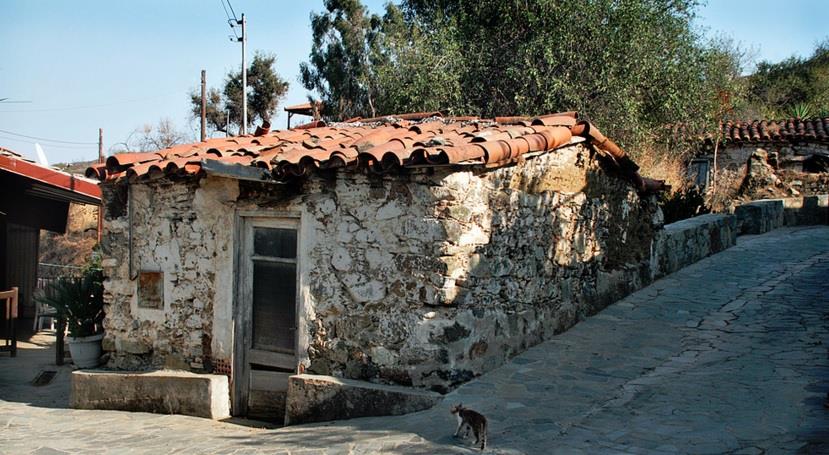 Κλωνάρι