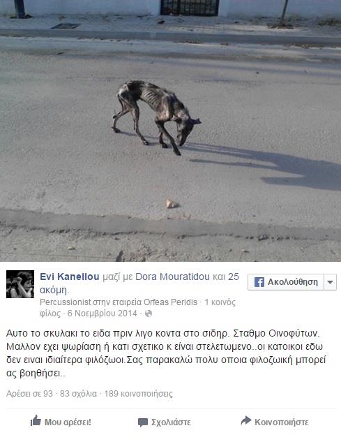 σκυλος