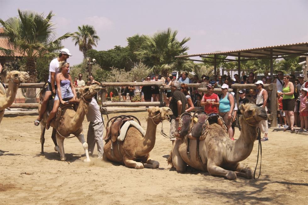 Camel park