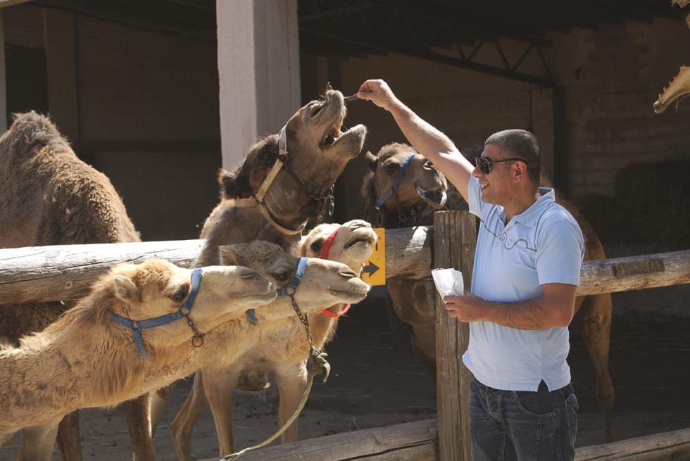 Camel park 3
