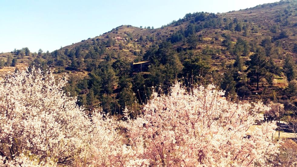fikardou 9