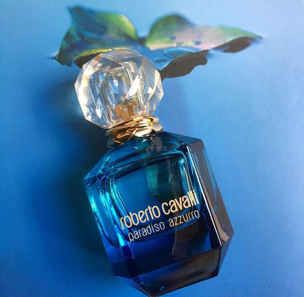 cavalli 1
