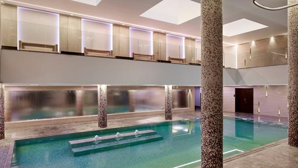 kallonispa4