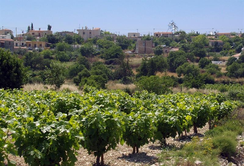 Κάθηκας