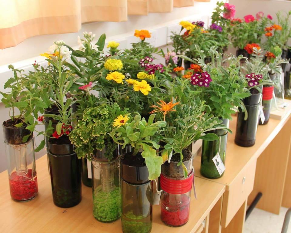 λουλούδια 1