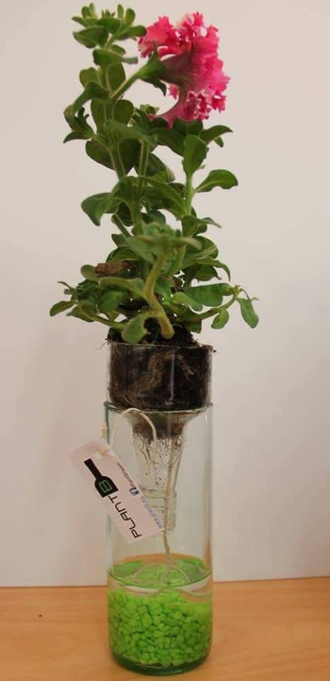 λουλούδια 2