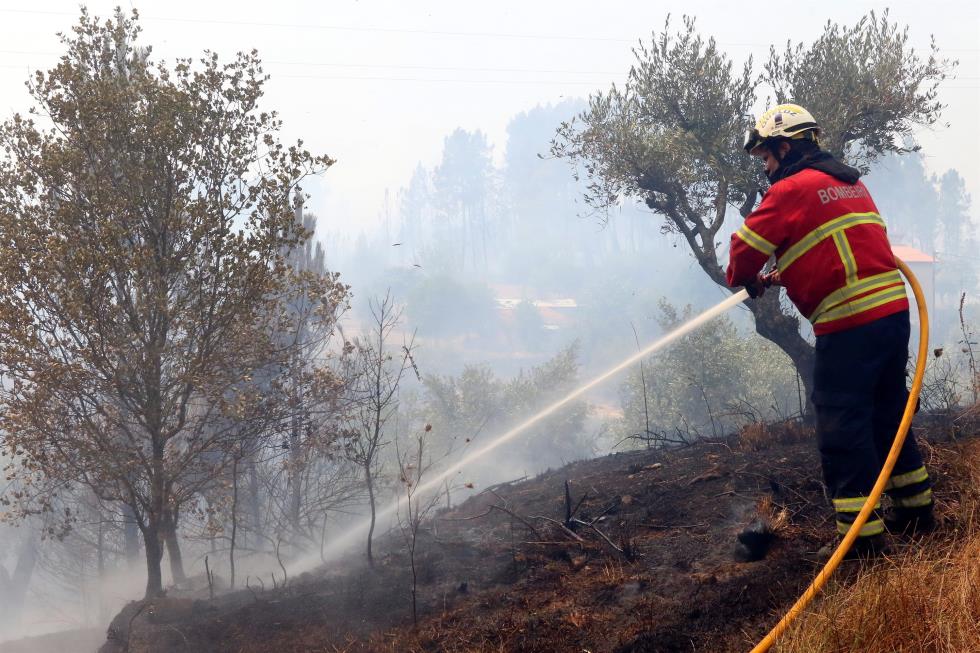 Forest fire in Macao1