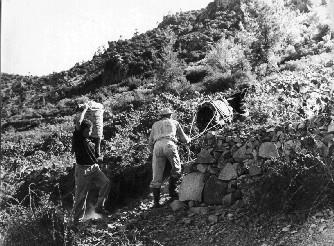 Γεωργικές εργασίες 3