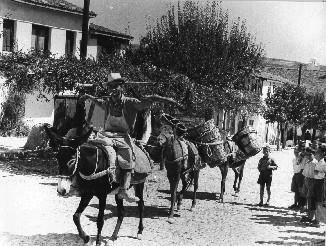 Γεωργικές εργασίες 4