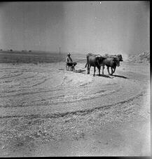 Γεωργικές εργασίες 7