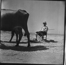 Γεωργικές εργασίες 8