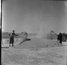 Γεωργικές εργασίες 9
