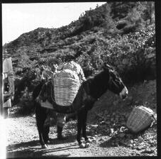 Γεωργικές εργασίες 12