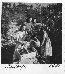 Γεωργικές εργασίες 21