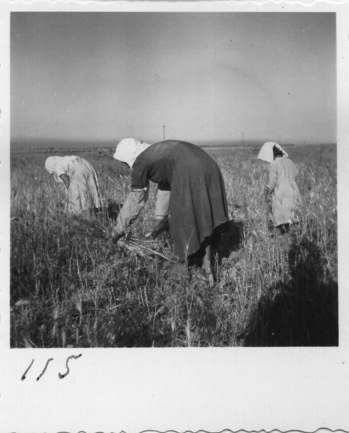 Γεωργικές εργασίες 22