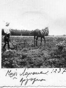 Γεωργικές εργασίες 24