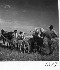 Γεωργικές εργασίες 27