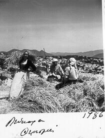 Γεωργικές εργασίες 28