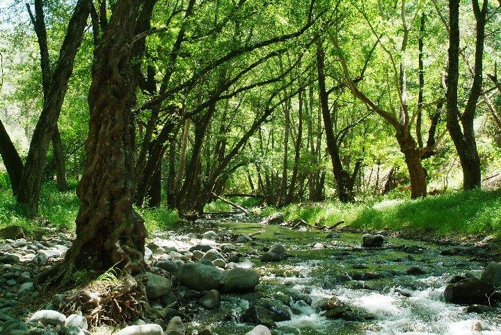 troodos