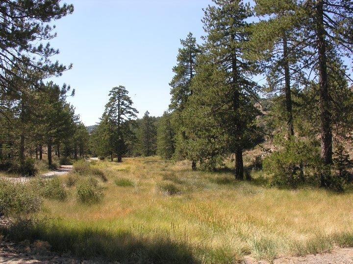 troodos