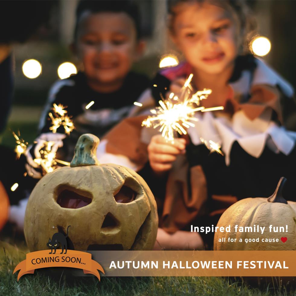 IFF_AUTUMN FESTIVAL_JULY2019_POST