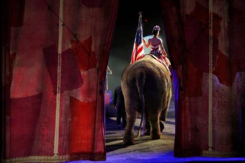 elephant