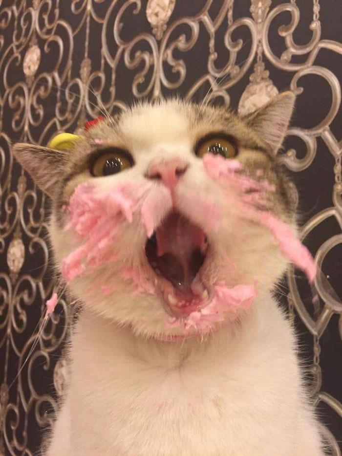 GATA3