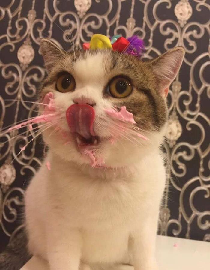 GATA2