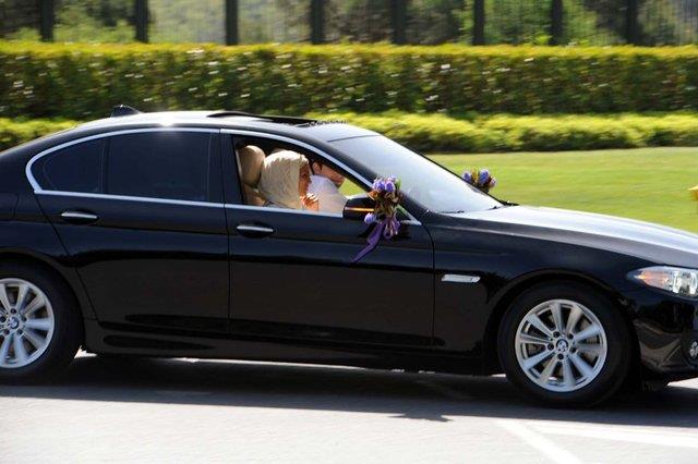 gamos 2