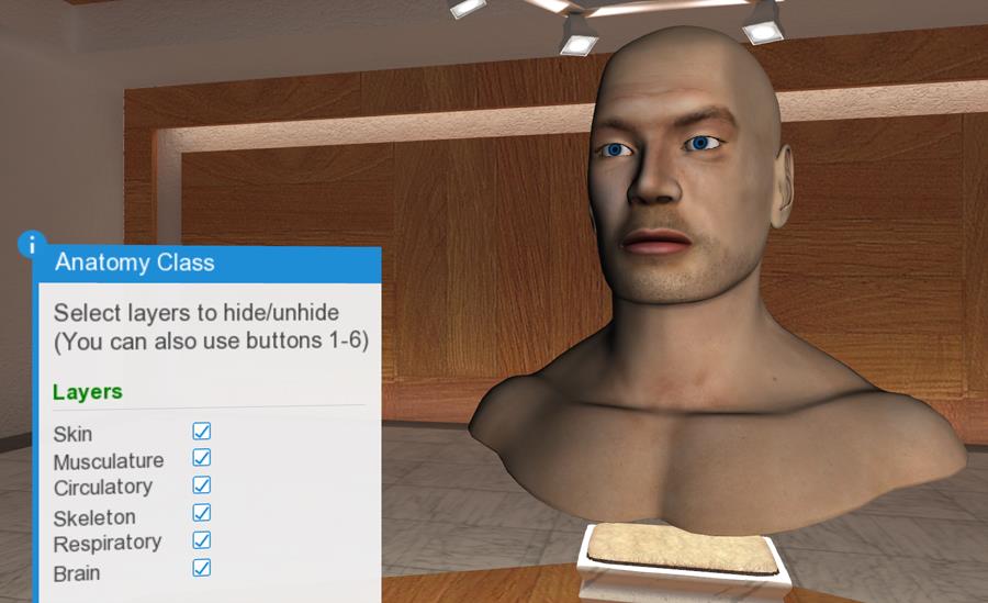 virtual egkefalos