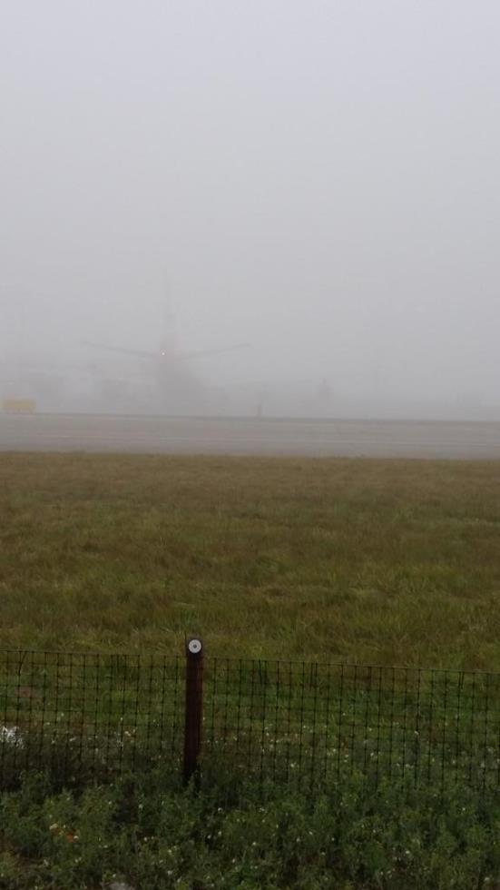 FOG 