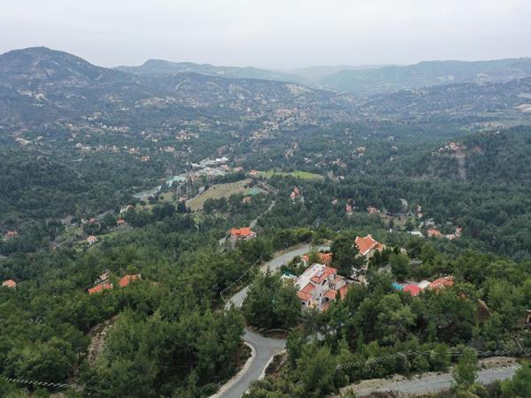 moniatis