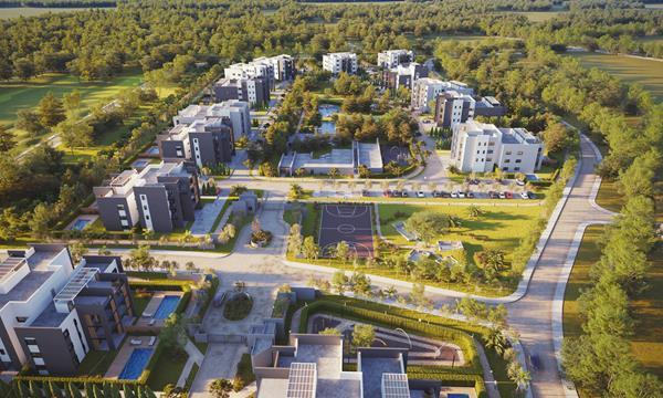 dronenice2