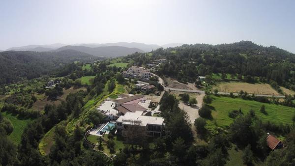 demetriouparadisos