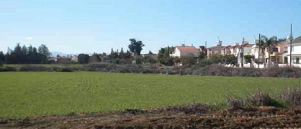 lakatamia8482