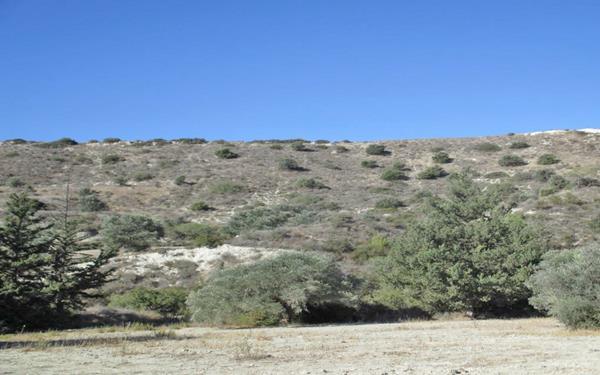monagrouli492