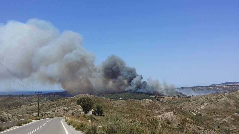 rodos 2