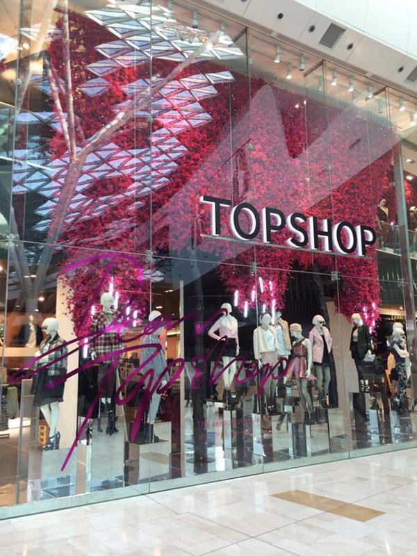 arcadiatopshop