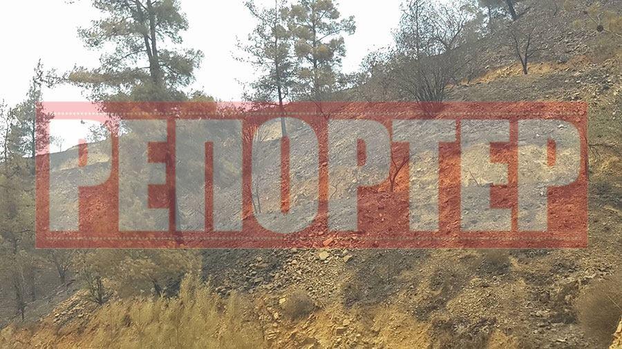κουρδαλι3