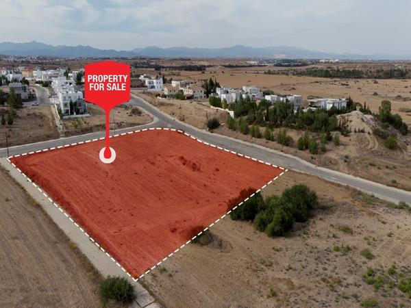 anthoupoli1