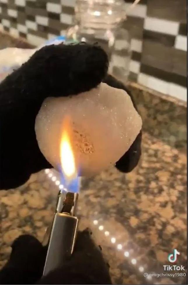 3833310946184648 texas1